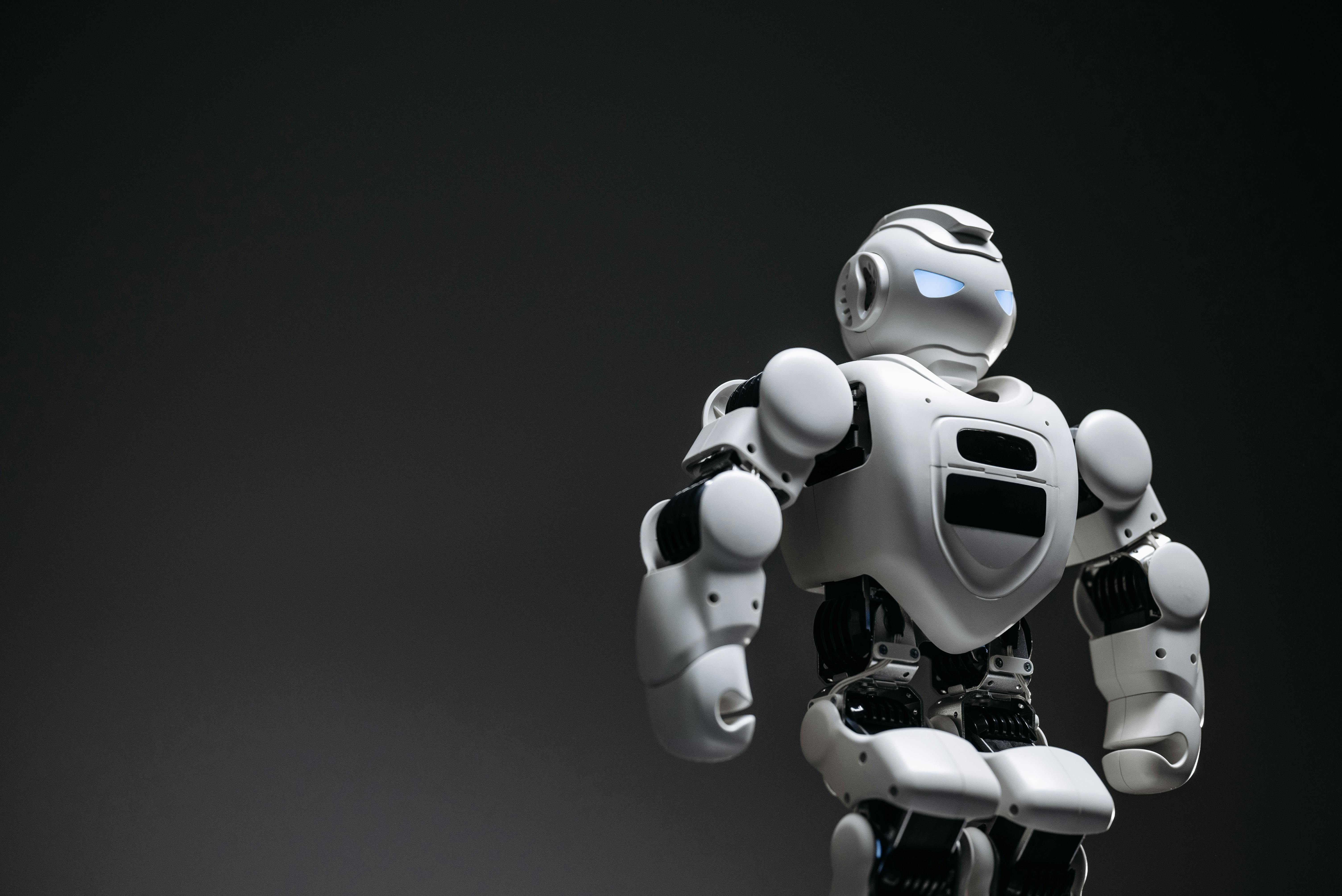 Install APC Netbotz Advanced View on Ubuntu 24.04